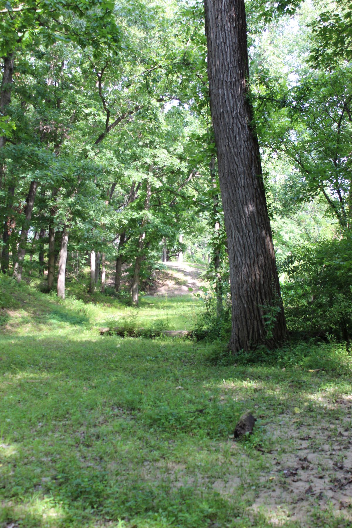 Hole 14 (Basket)