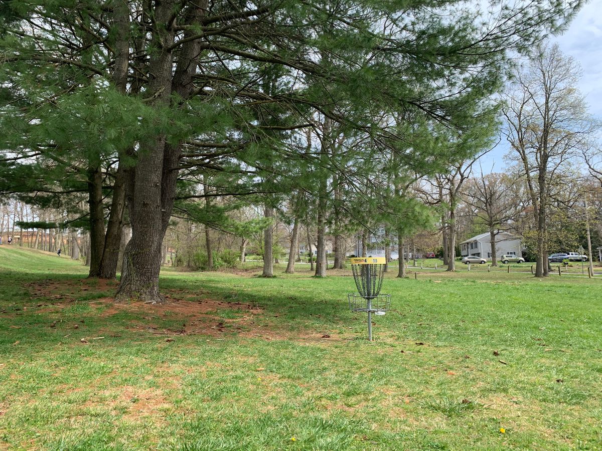 Hole 4/15 basket