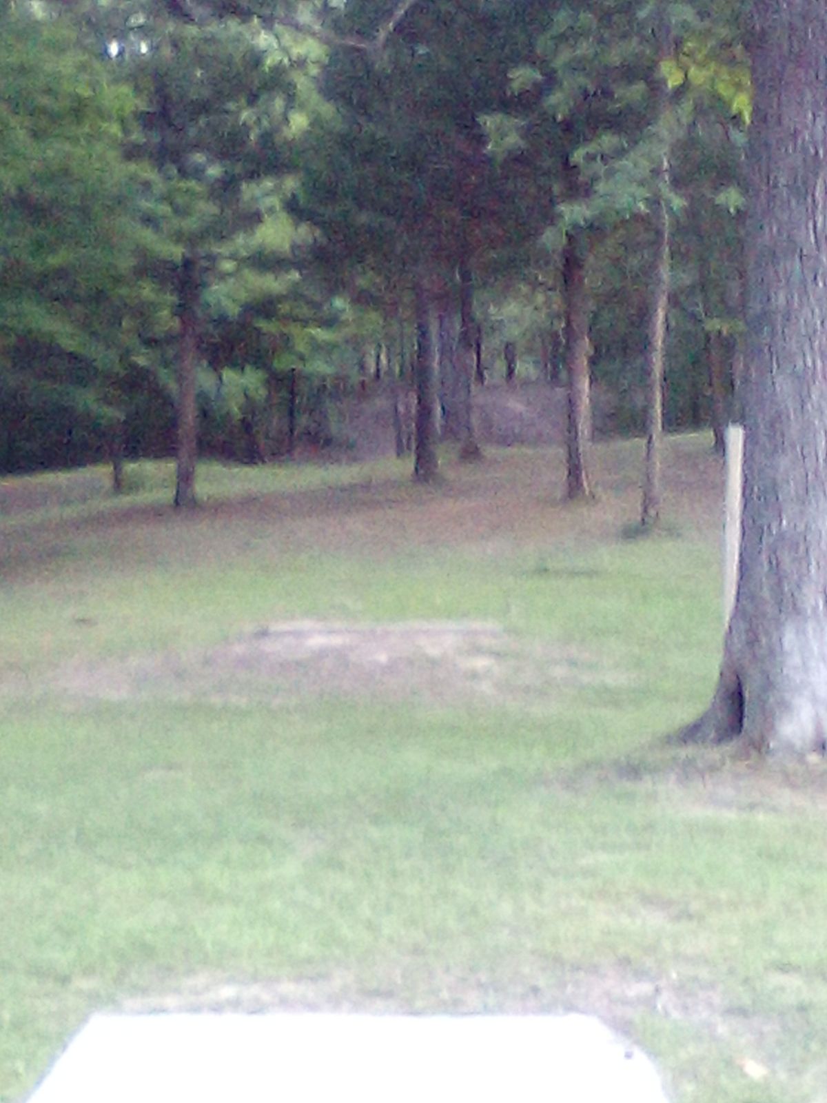 Hole 11 from front T pad