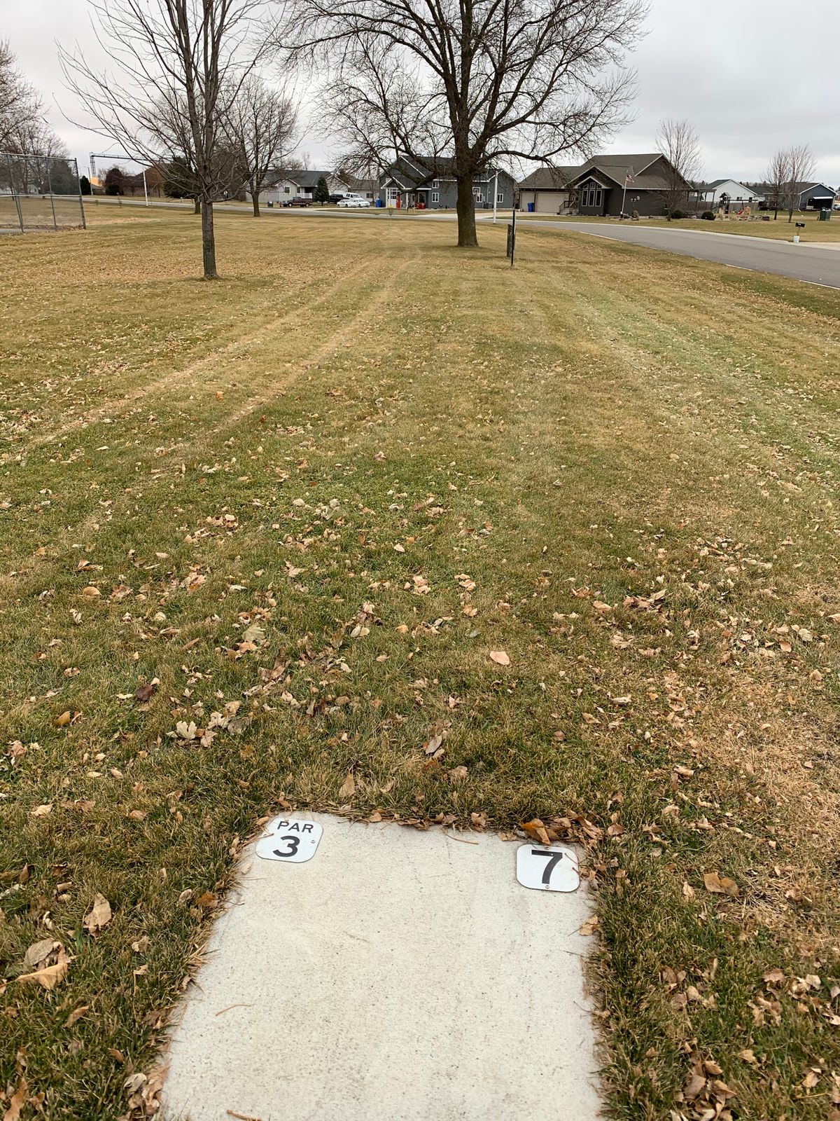 Tee #7