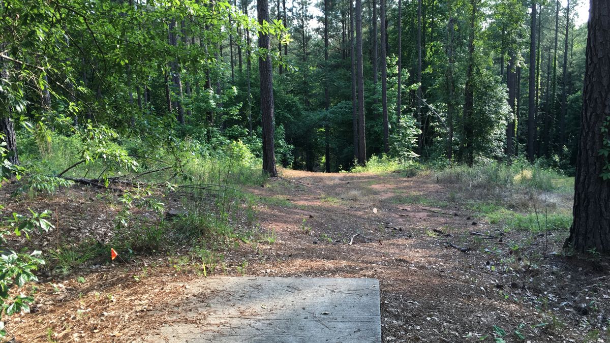 Hole 13
