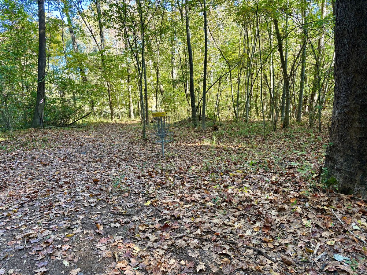 Hole 1 approach
