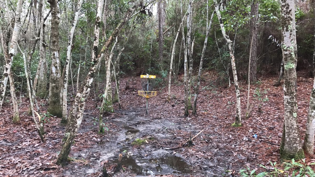 Hole 11