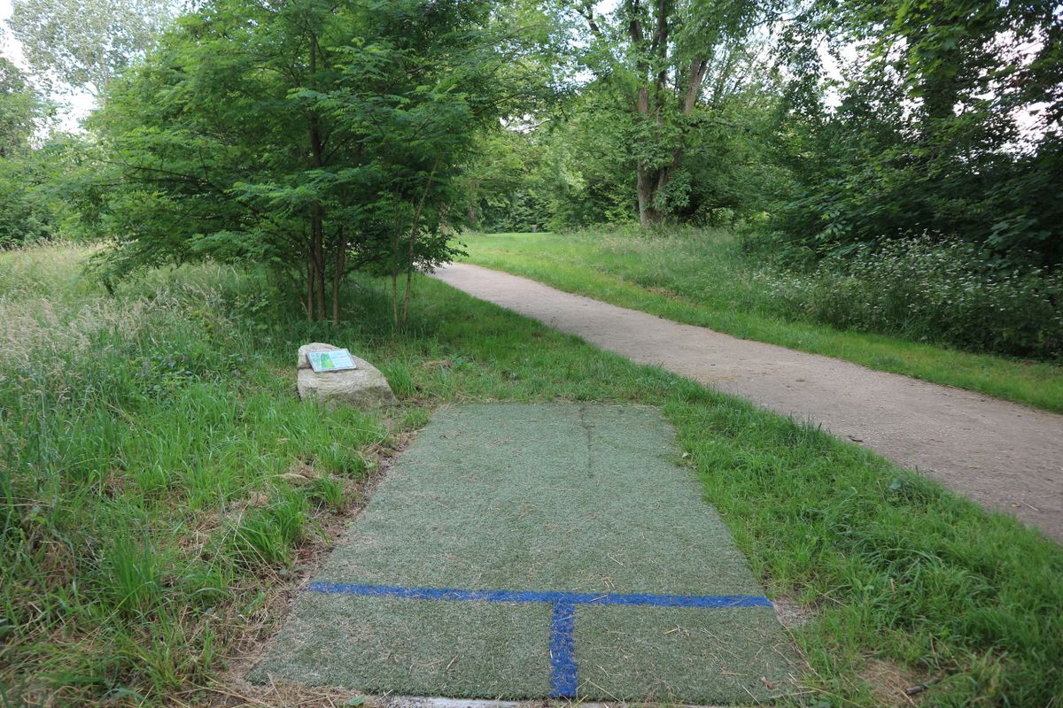 Tee from hole 7