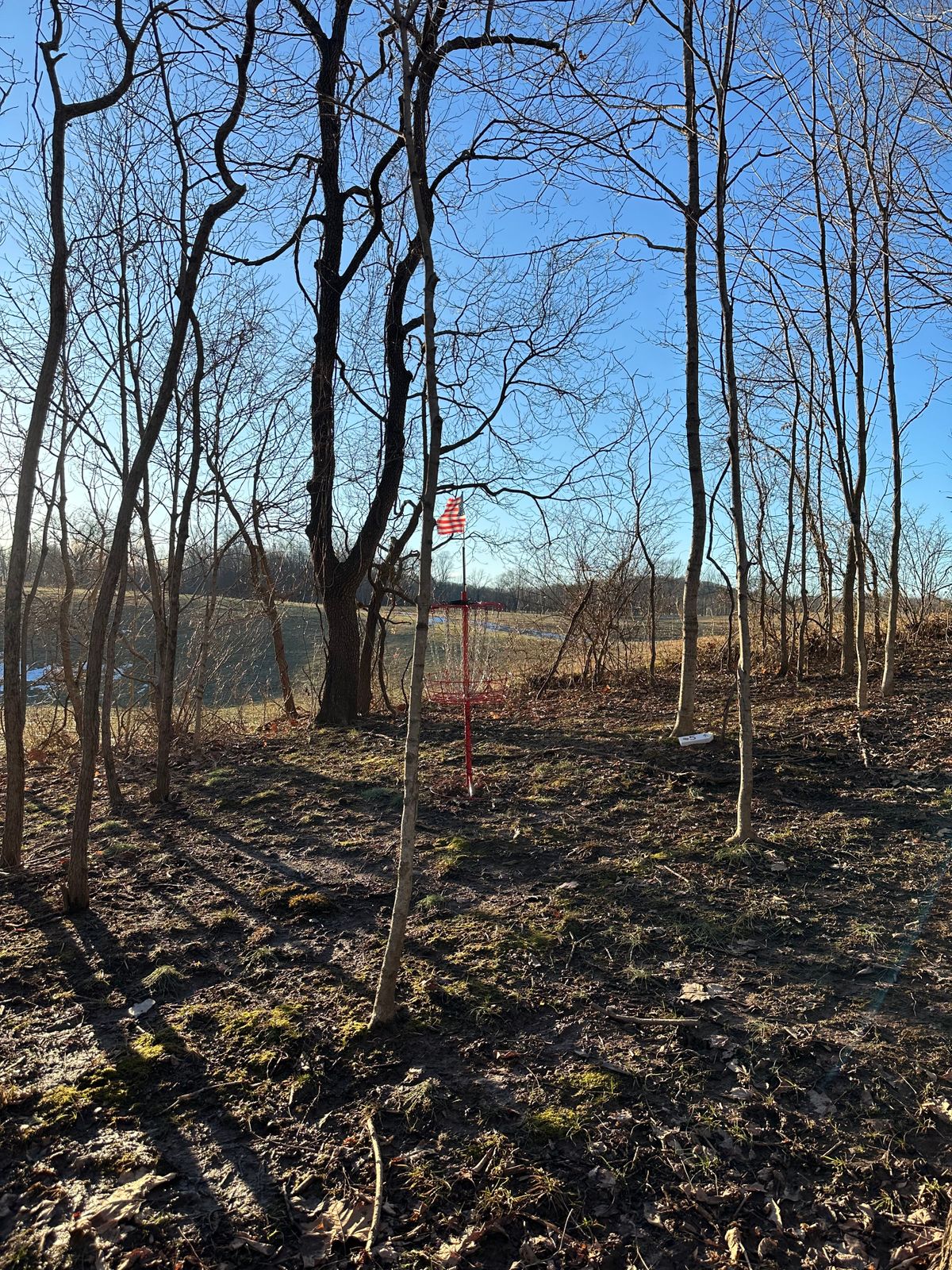 Hole 4 basket, over fence is OB