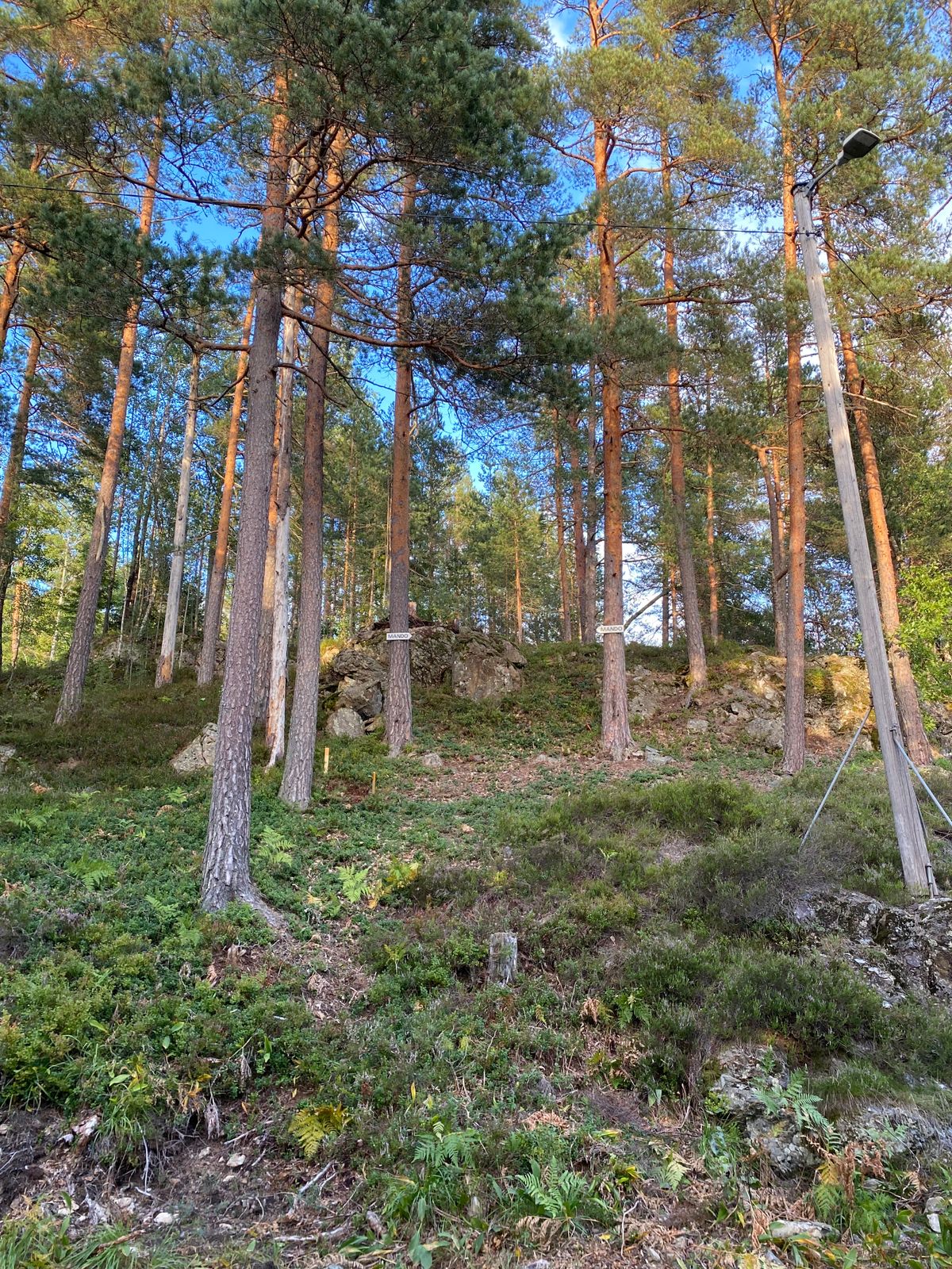 Mando til hull 9, dropzone markert med to gule påler litt til venstre for midten av bildet.