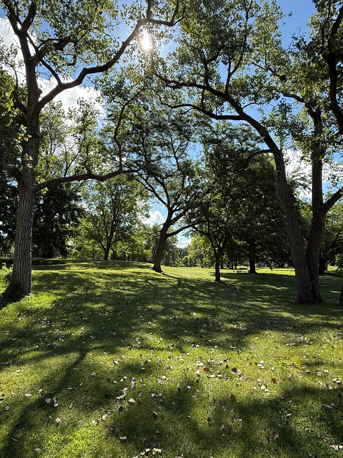 Tee 15 approach