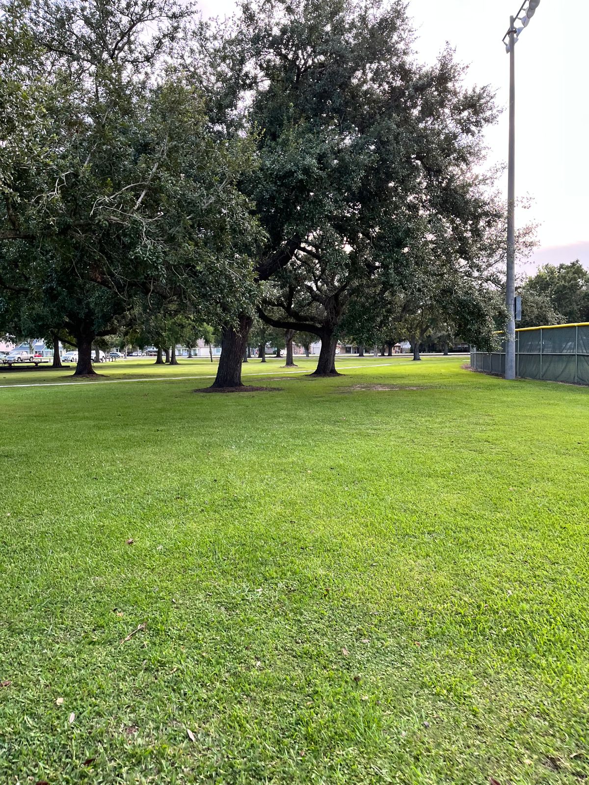 Hole 6 Green (target located between the two oak trees, to not allow a straight line from the tee)