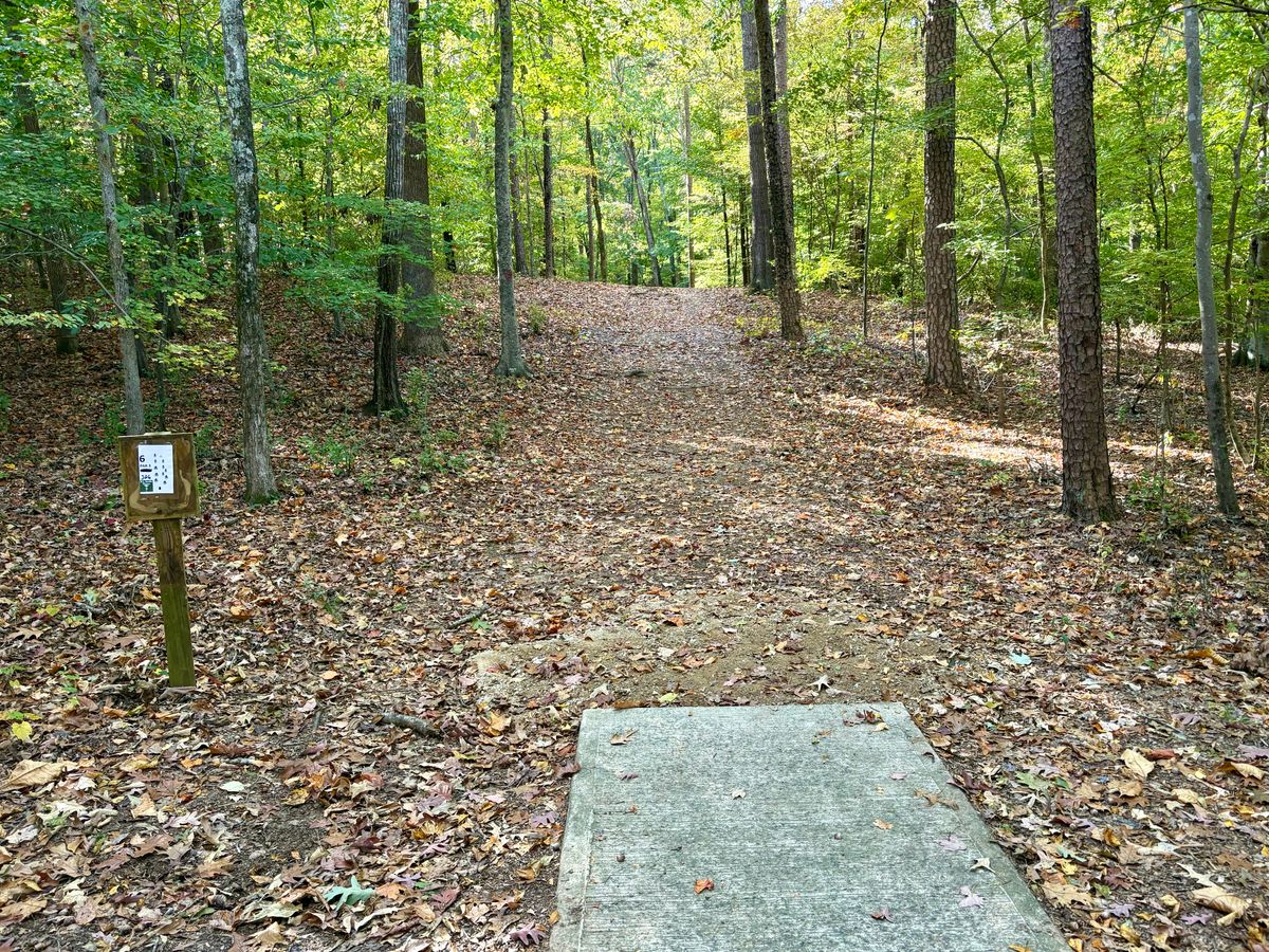 Hole 6 tee