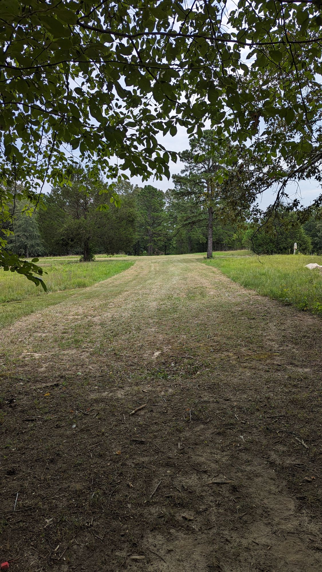 Hole 7. 