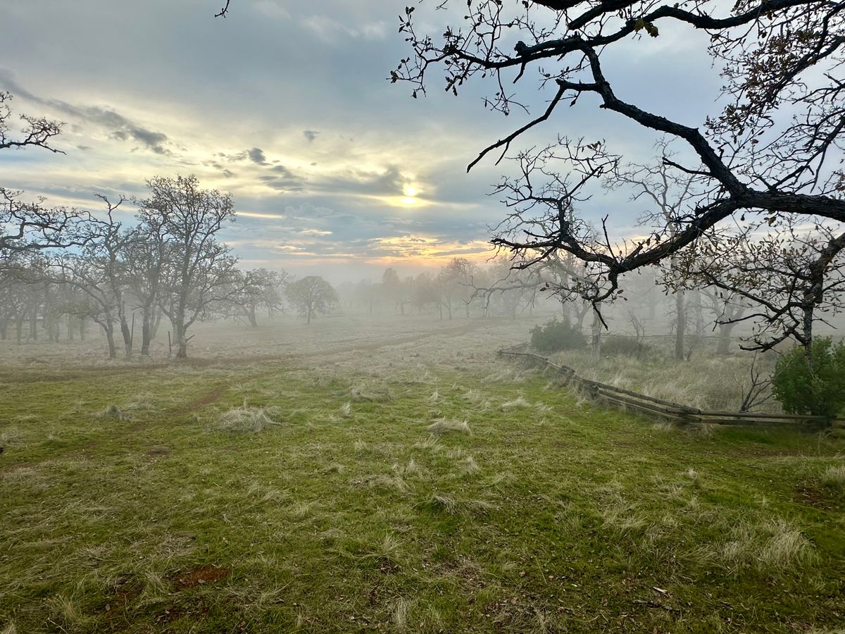 Beautiful Peregrine Point in December