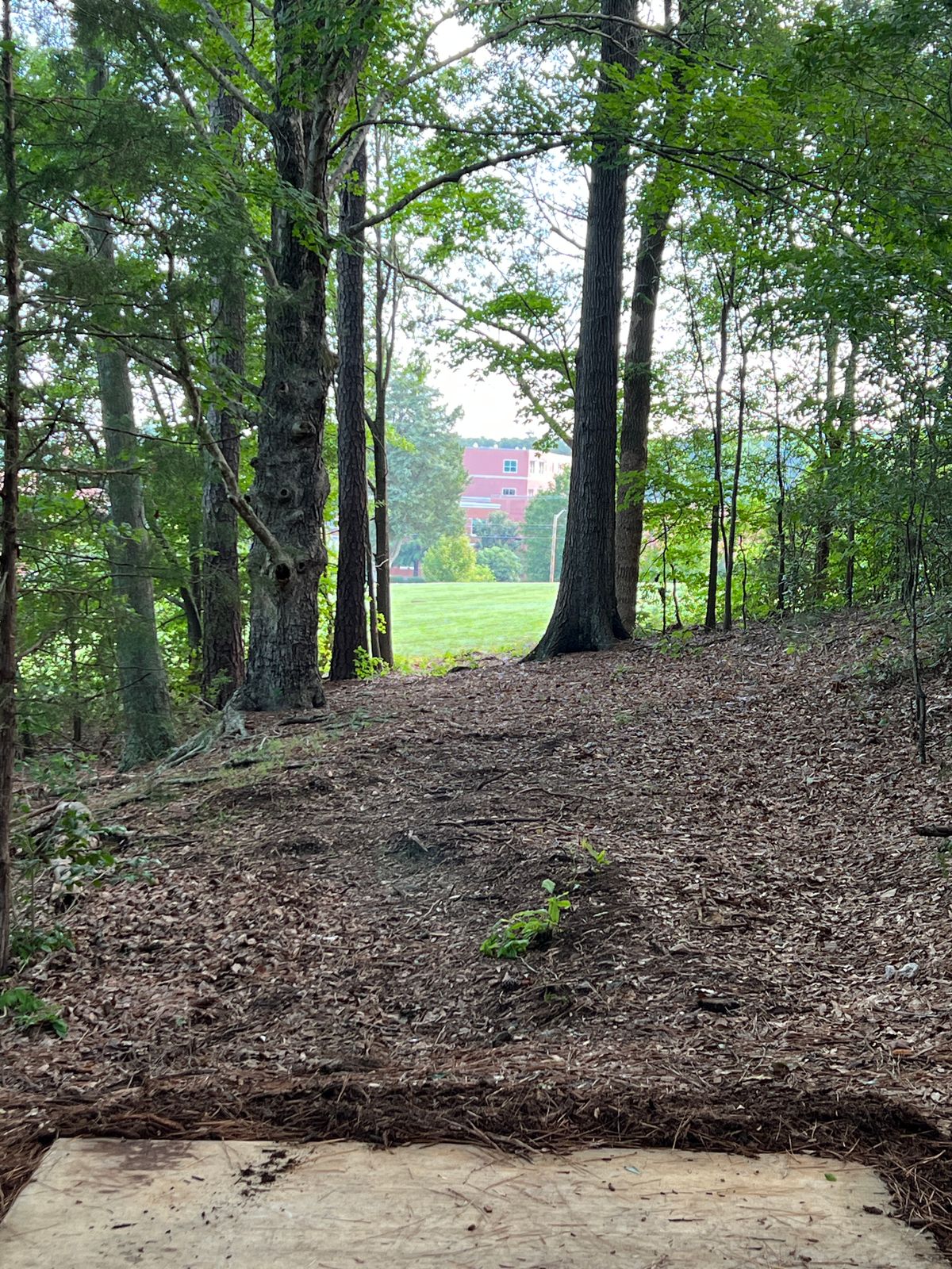 Hole 1: Behind Tee, Zoom to Front of Tee