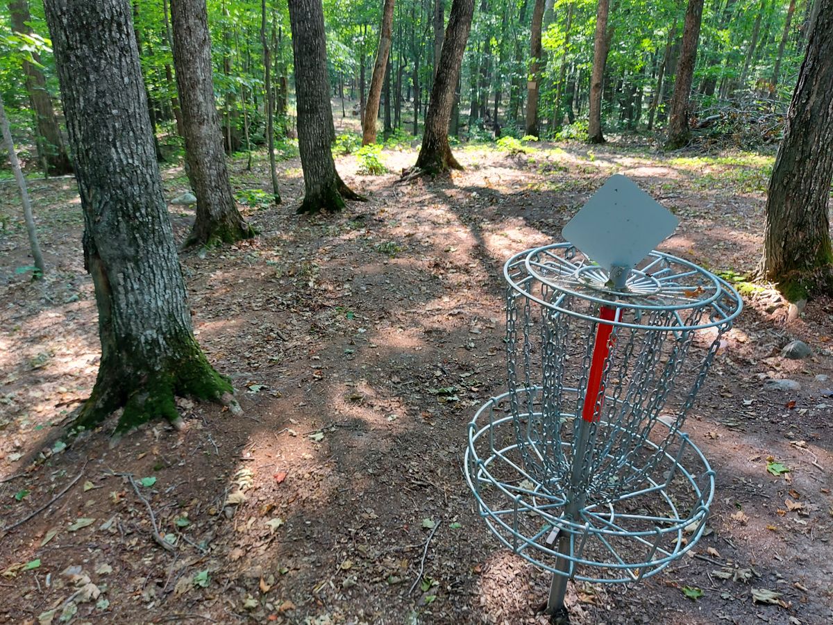 Reverse back up the fairway on hole 12.🪵🍂🪵🍂