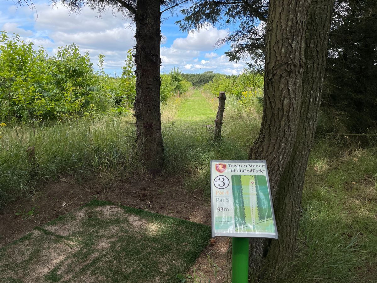 Hole 3. The rough is ROUGH, so use a spotter on the fairway or take it easy.