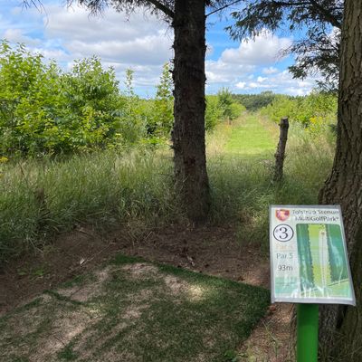 Hole 3. The rough is ROUGH, so use a spotter on the fairway or take it easy.