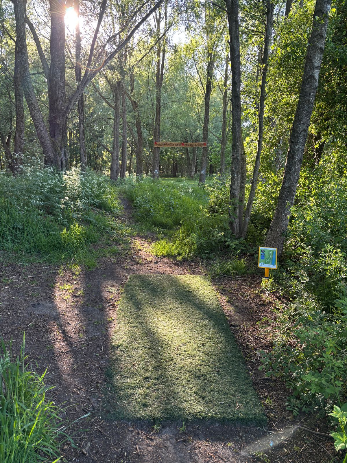 Hole 3 blue layout