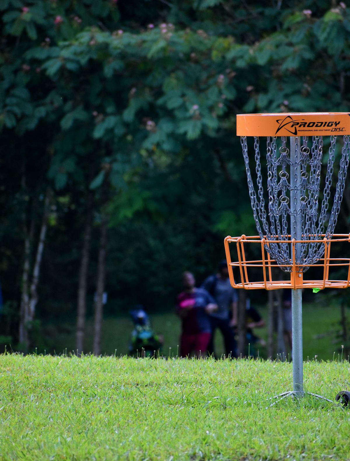 View from behind hole 12 basket looking at the DZ