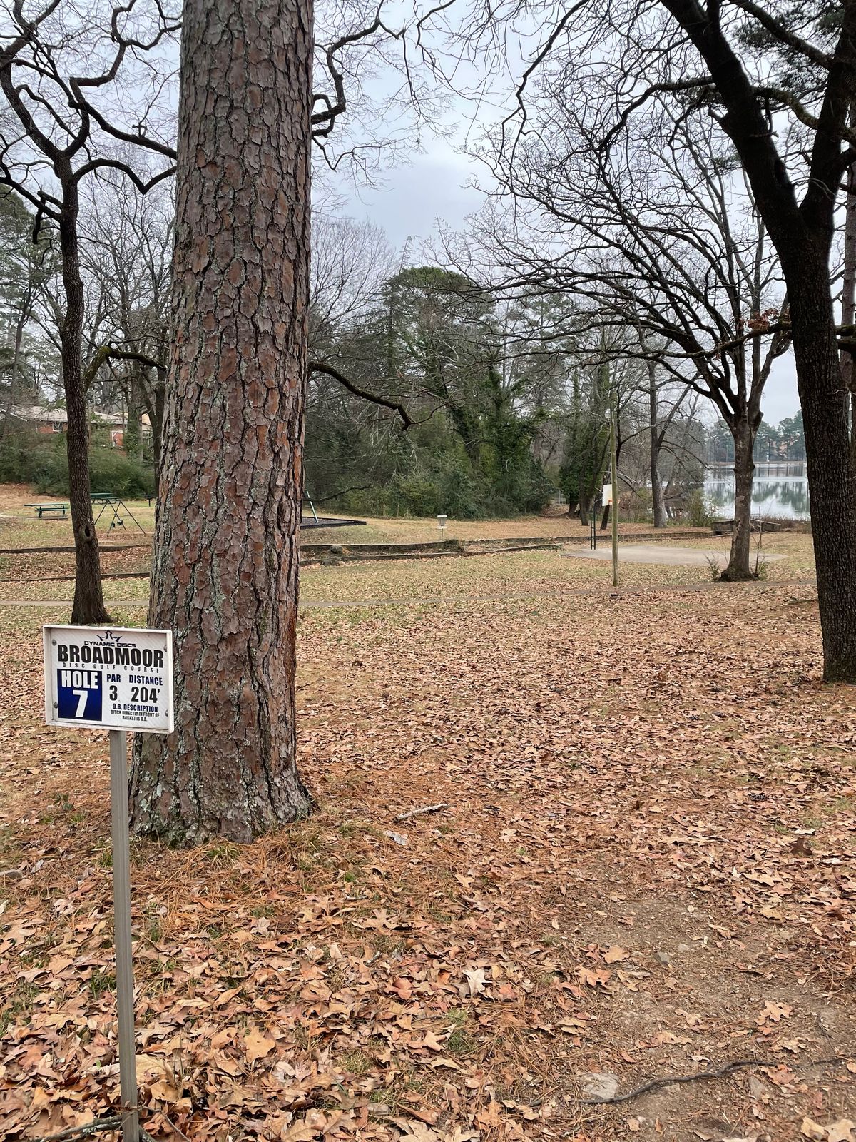 Hole7:  Ace Run across the ditch. No Ace today.