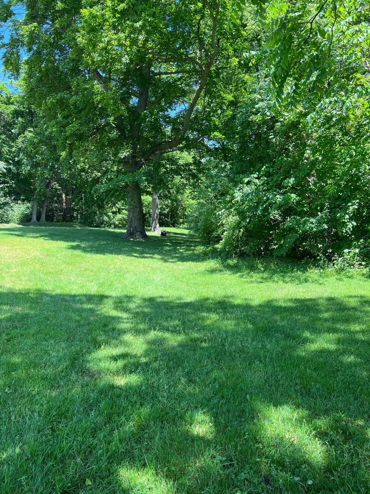 Hole 7 Yellow Tee