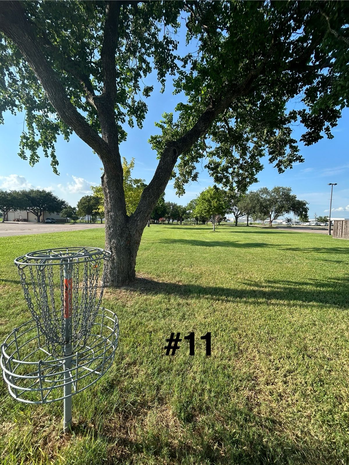 11