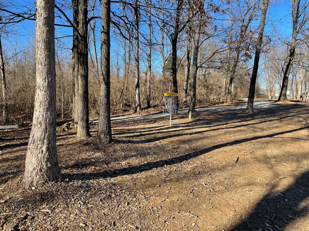 Hole 6 fairway and basket