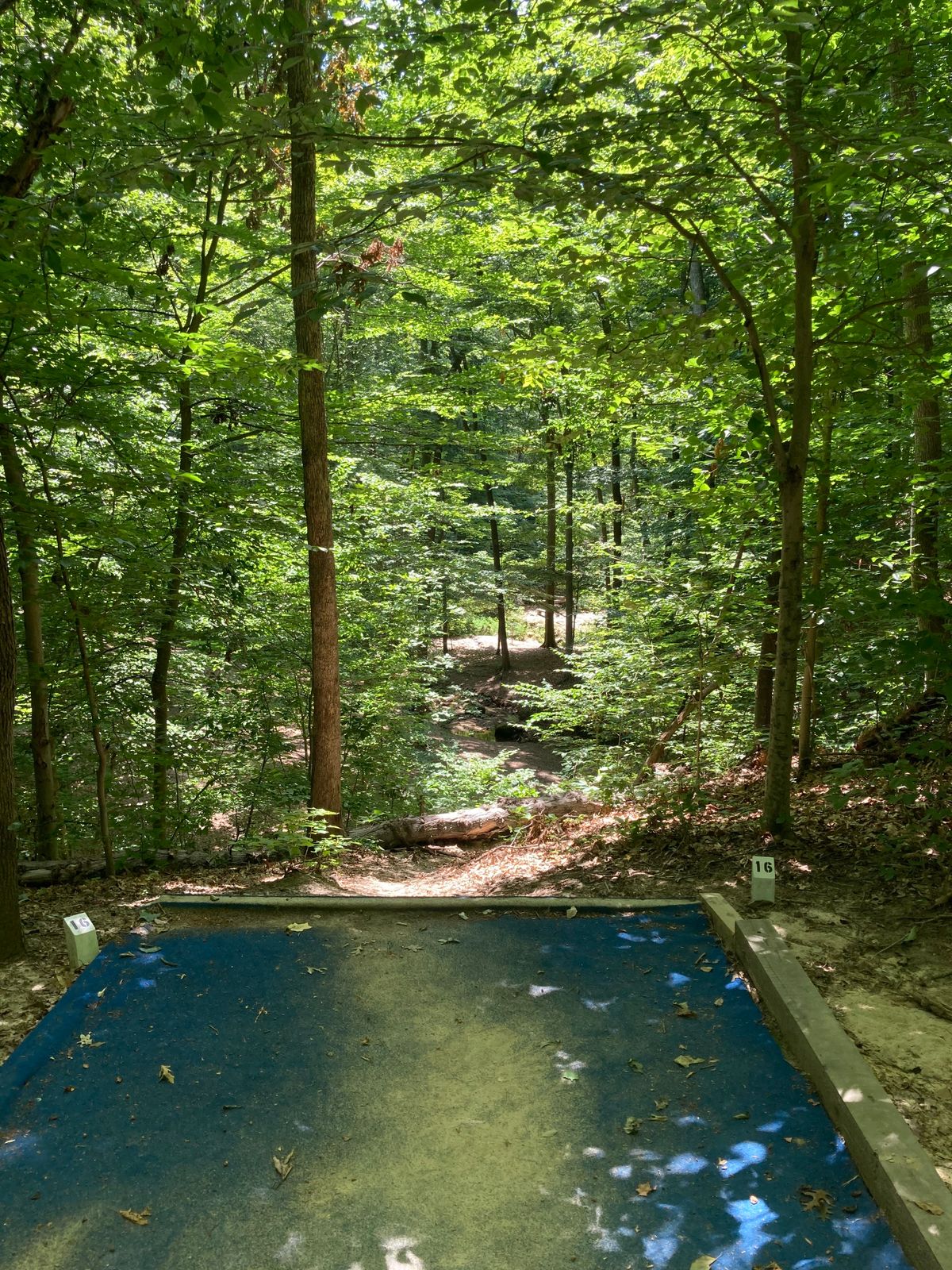 16th tee
