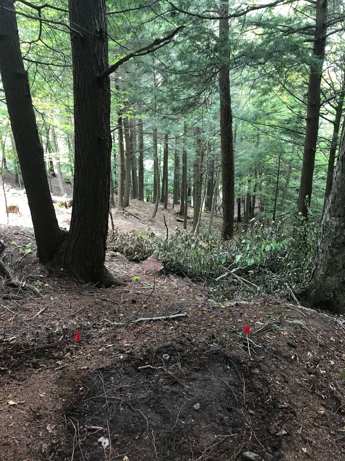Hole 17 short tees