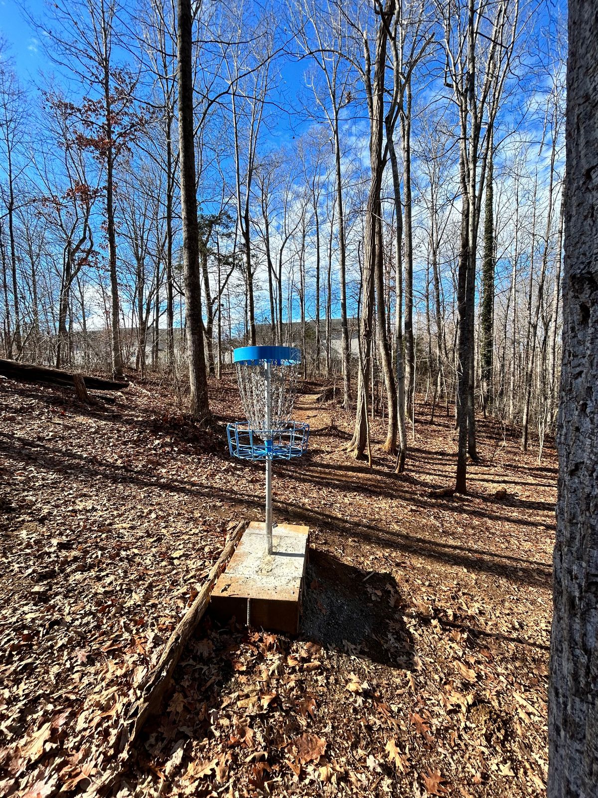 New baskets ‘23 hole 15