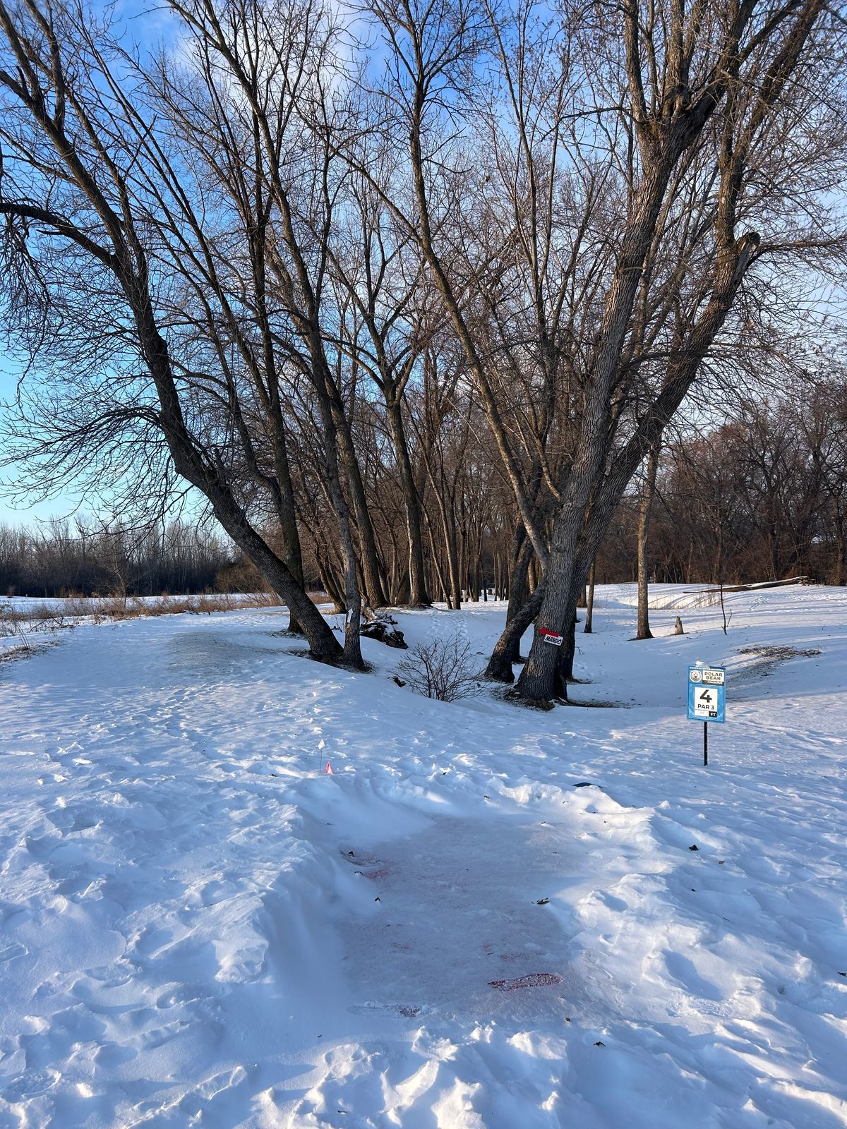 Hole 4 teepad - goes to TW hole 2 basket