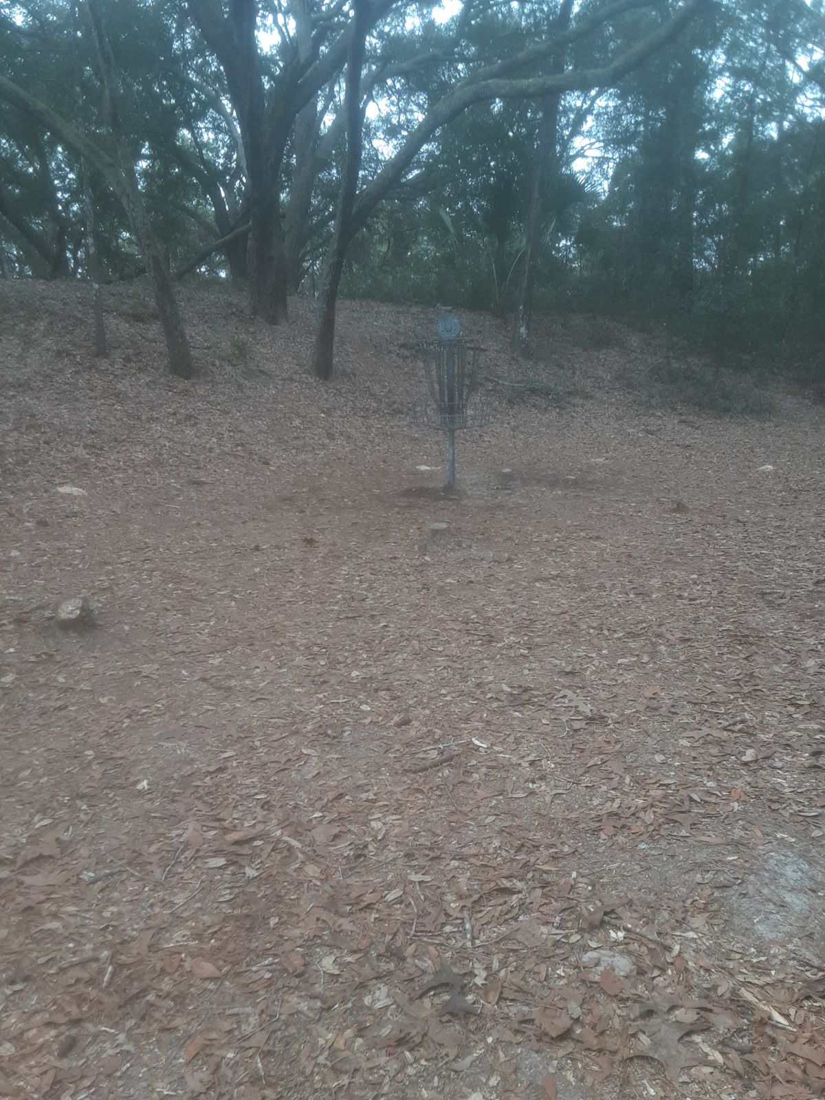 Practice green