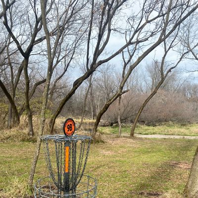 Very distracting when the baskets are surrounded by fishing holes.