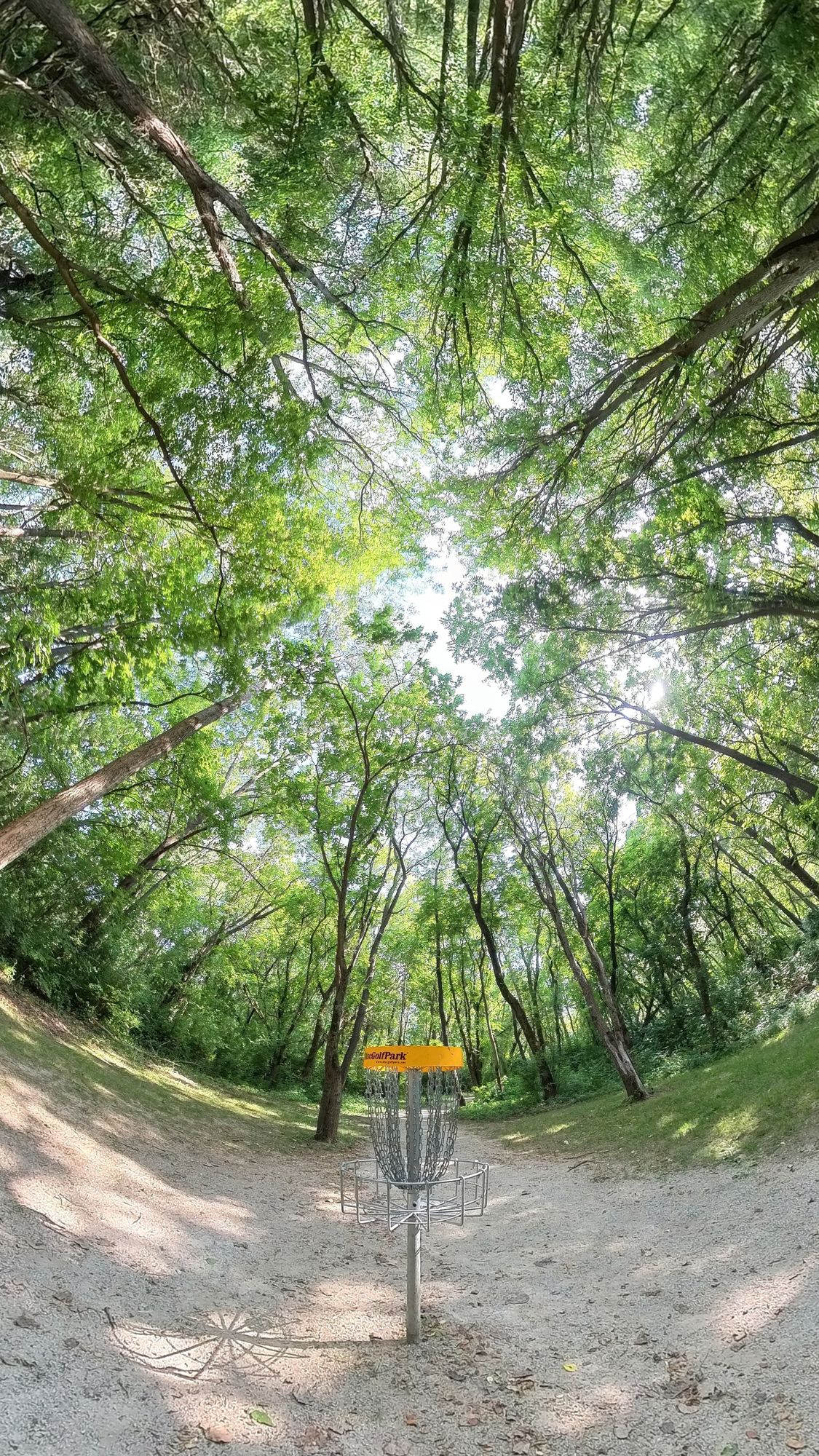 Hole 10 Basket
