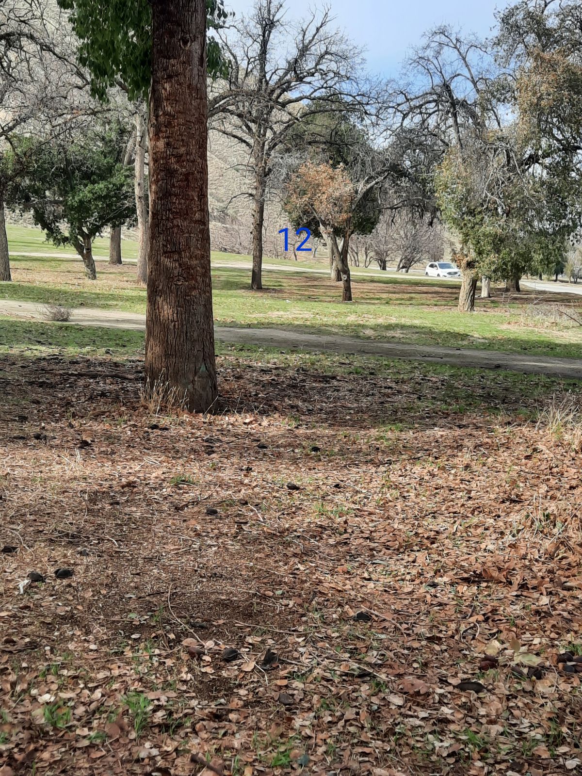 Hole #12