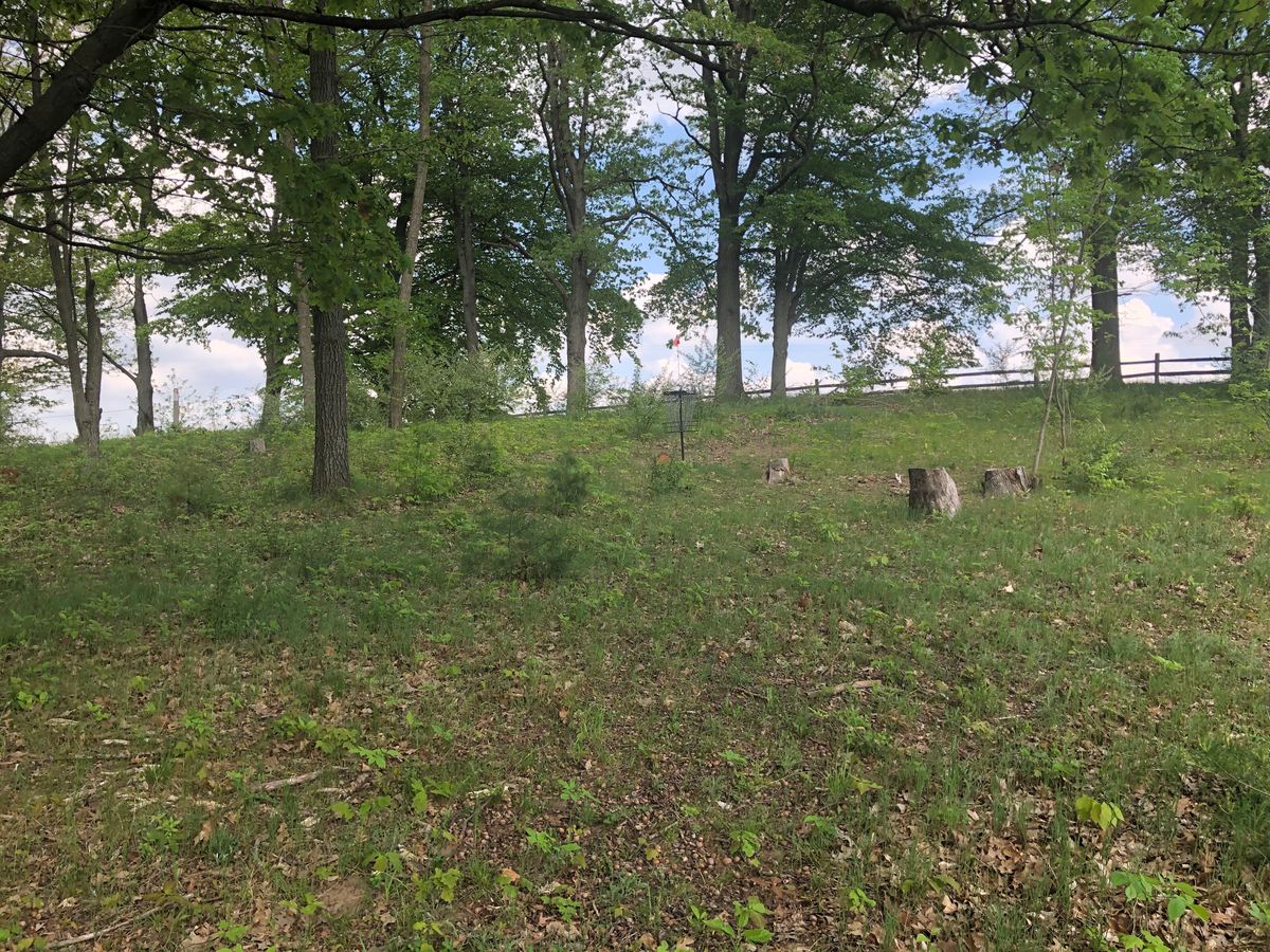 Hole 3 basket