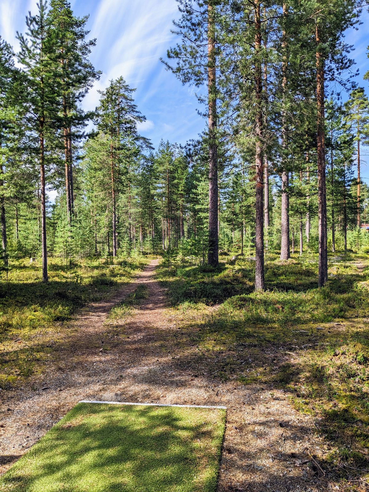 8. väylä