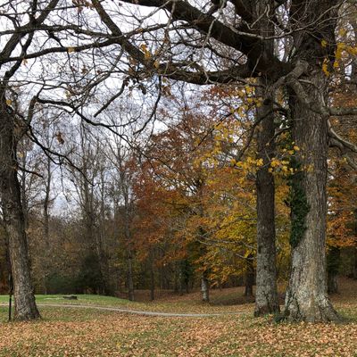 Hole 1, 280 ft par 3