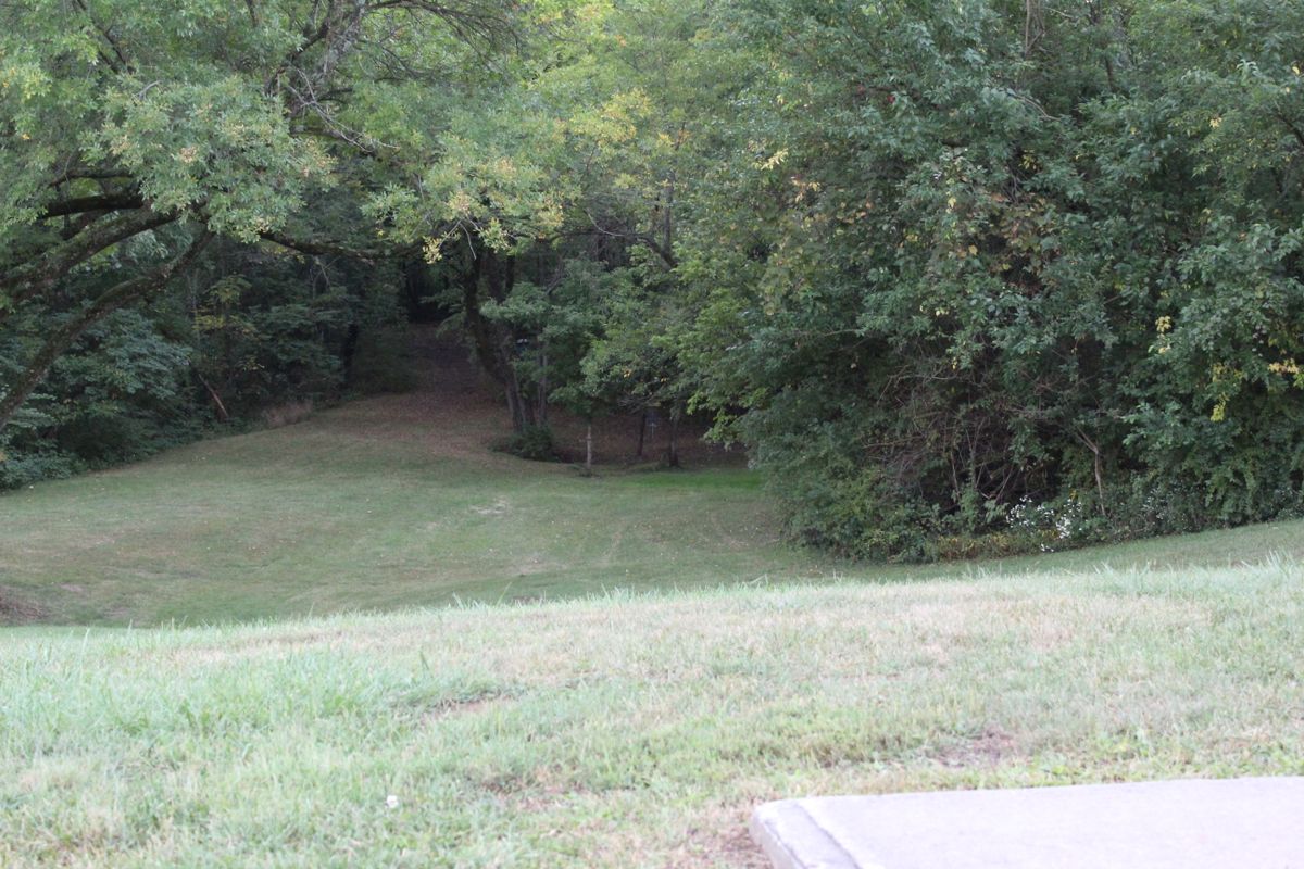 Hole 12 (Tee)