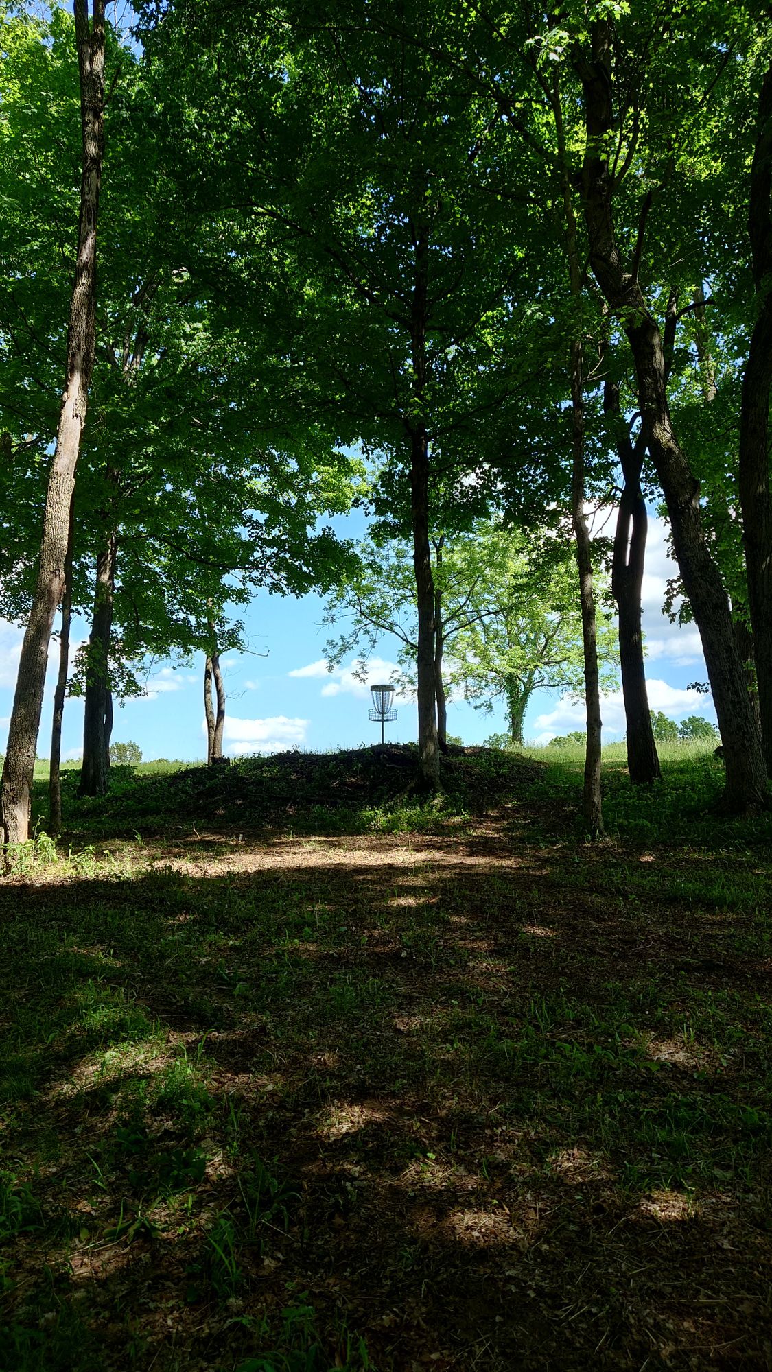 Hole 16 approach to basket.