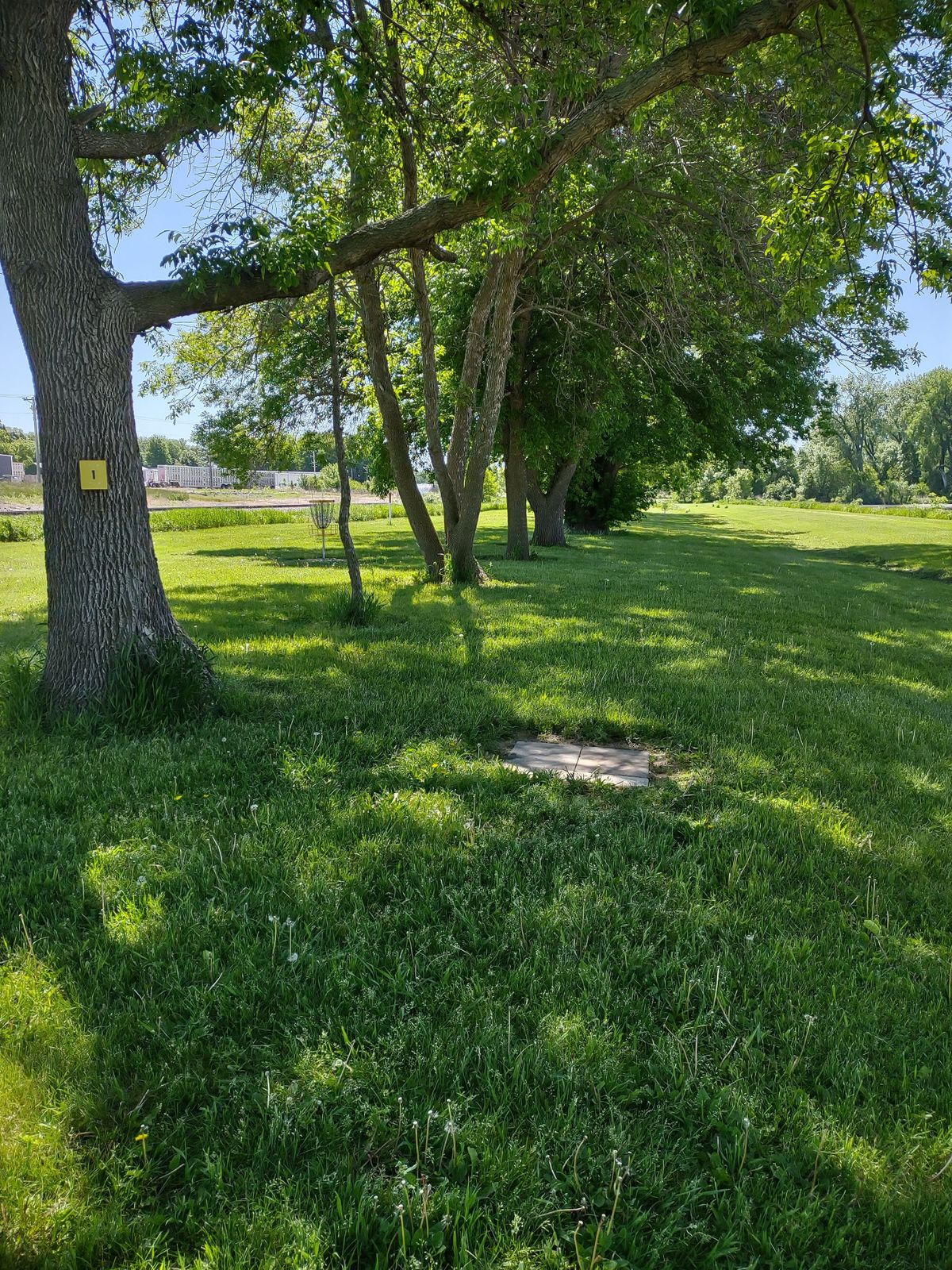 Hole #1 yellow tee