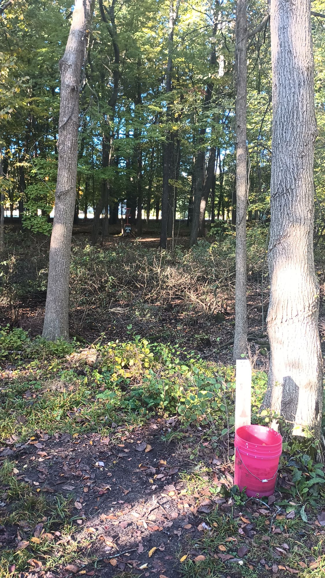 Sun Lake Woods at DFCSCA