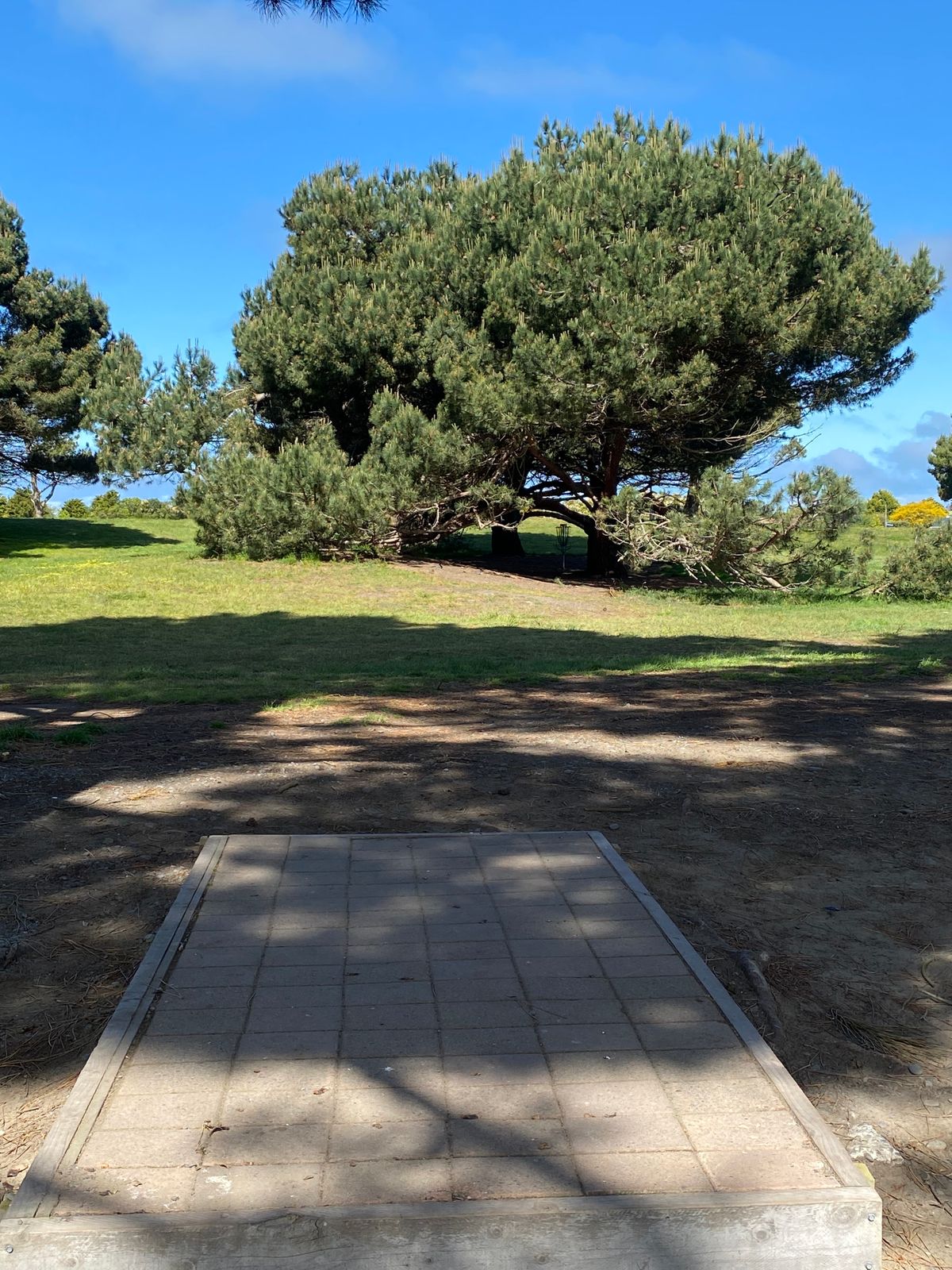 7th tee
