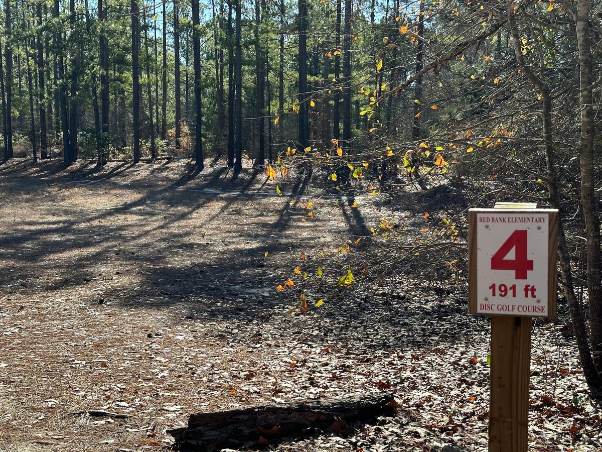 Hole 4