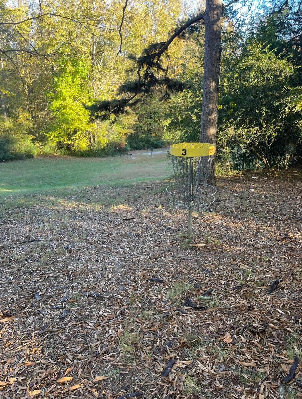 Short tee pad at 4 from 3