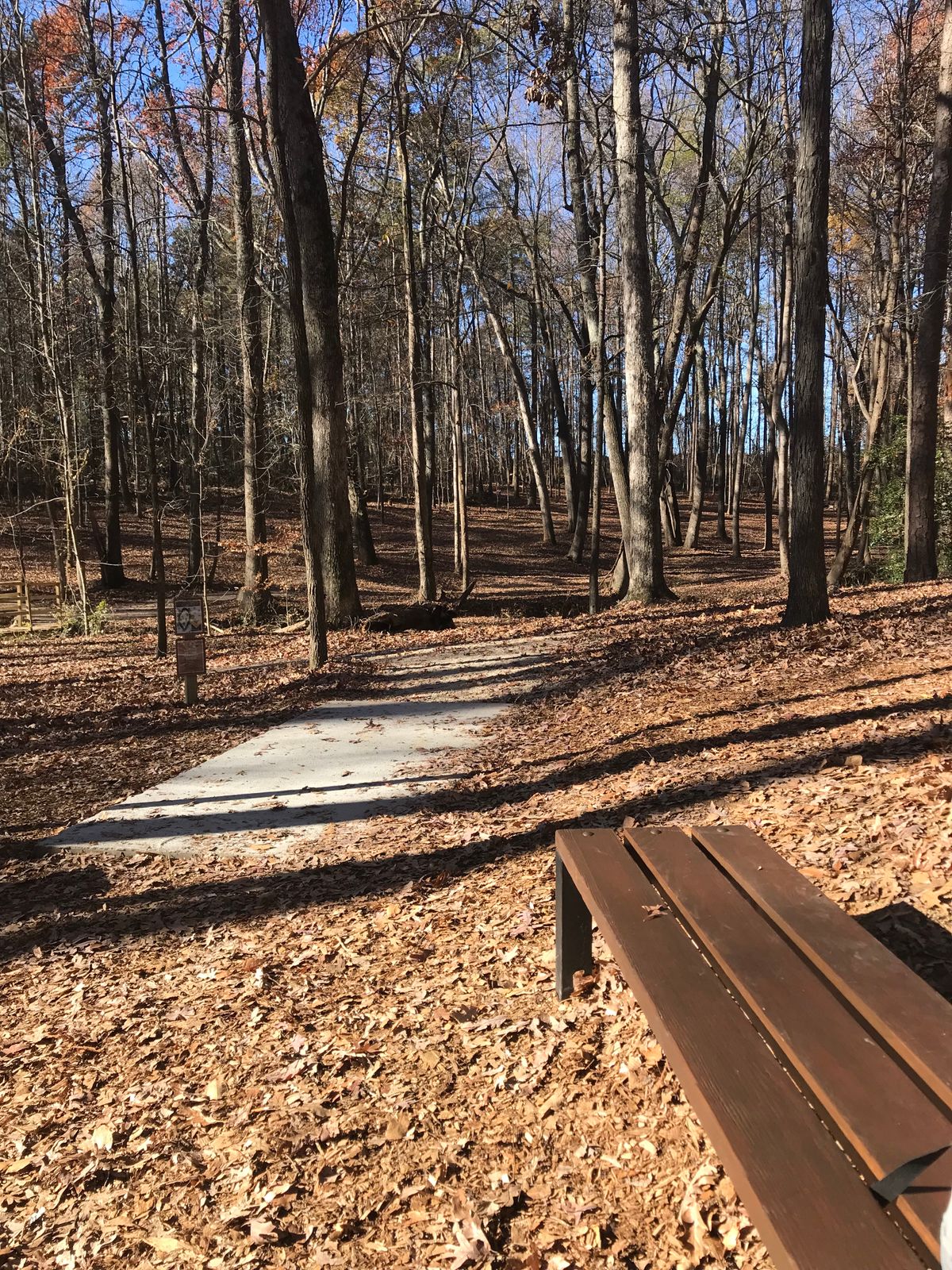 Hole 12 tee