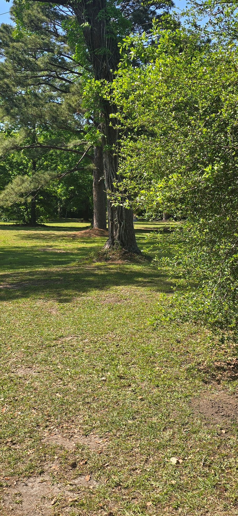 Hole 2