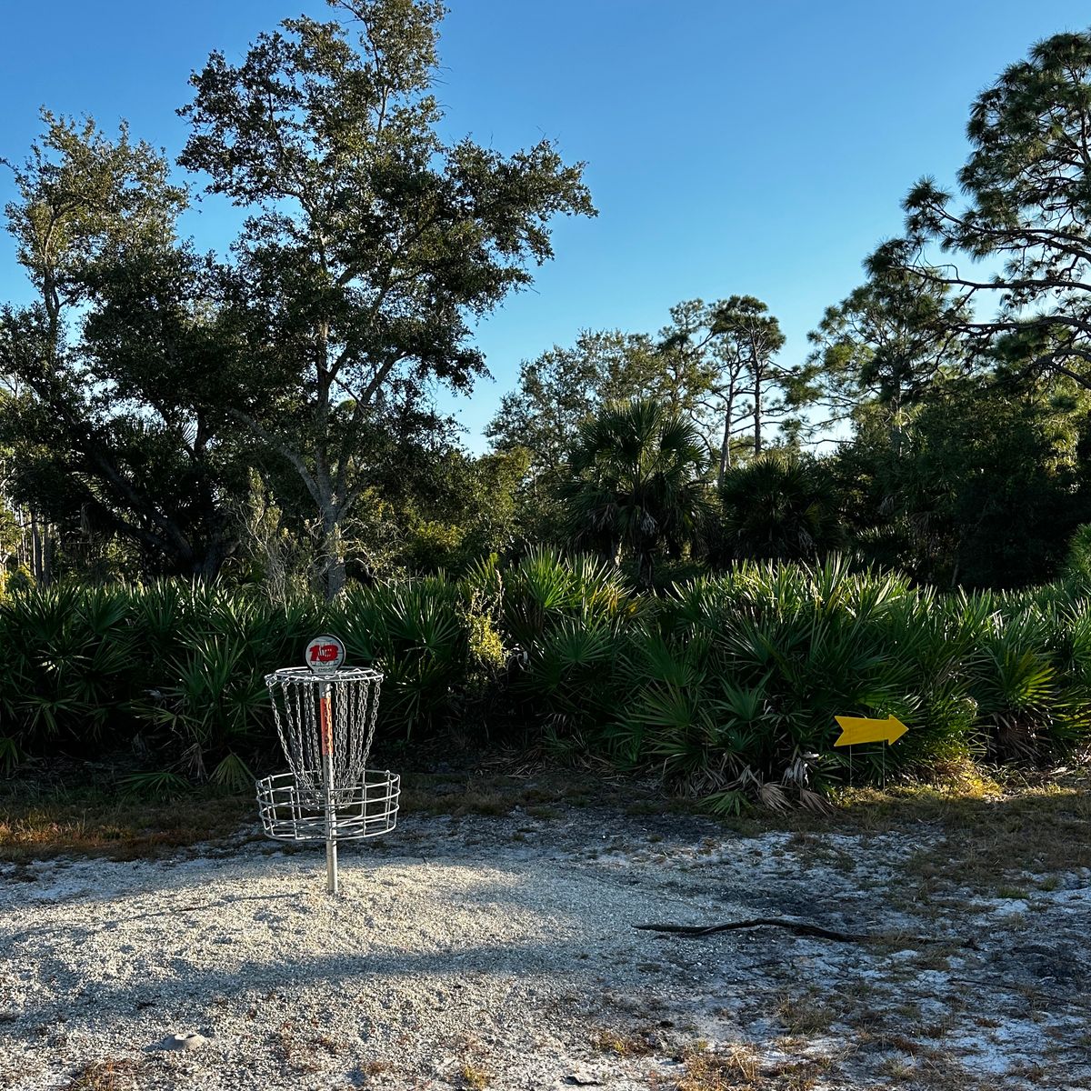 Current basket location 10/2025