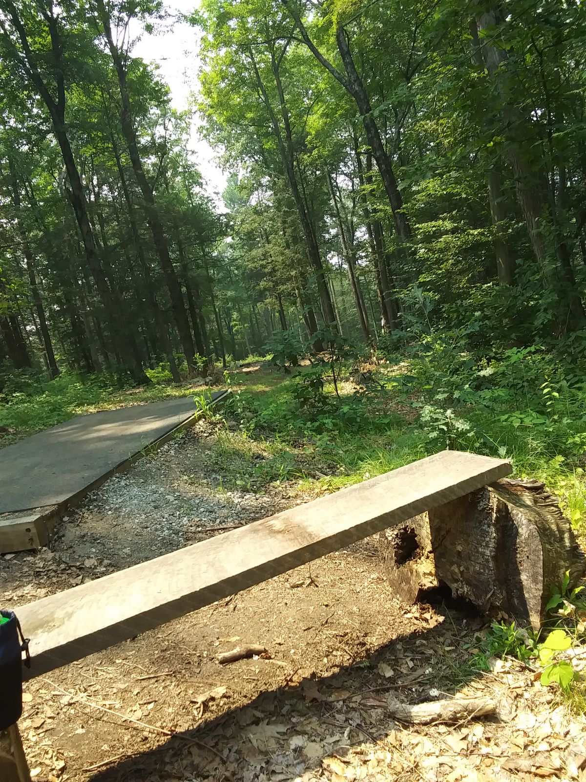 Hole 6 tee area.
