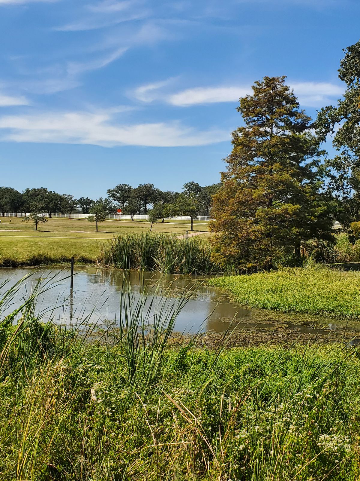 Hole 14