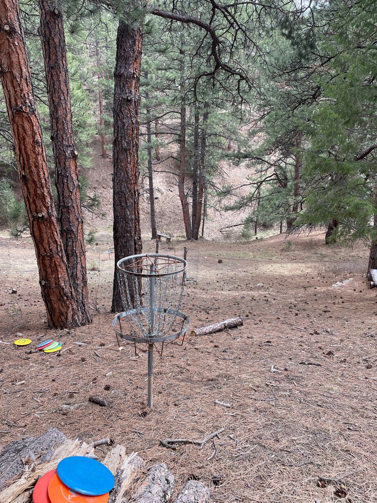 Basket #3 at Bearshark Mountain Course.
