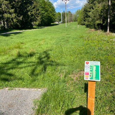 Tee 11